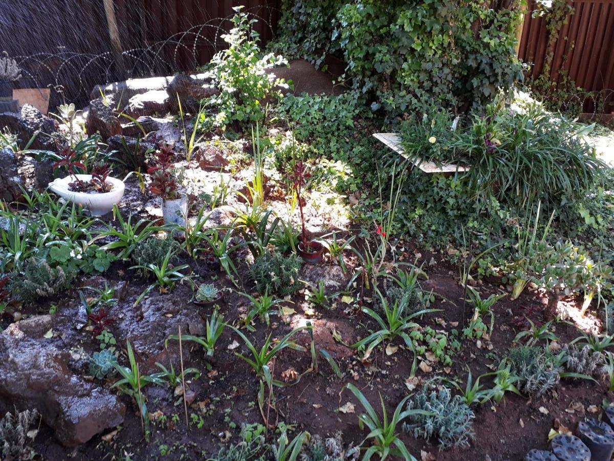 Upper Houghton Guesthouse Γιοχάνεσμπουργκ Εξωτερικό φωτογραφία